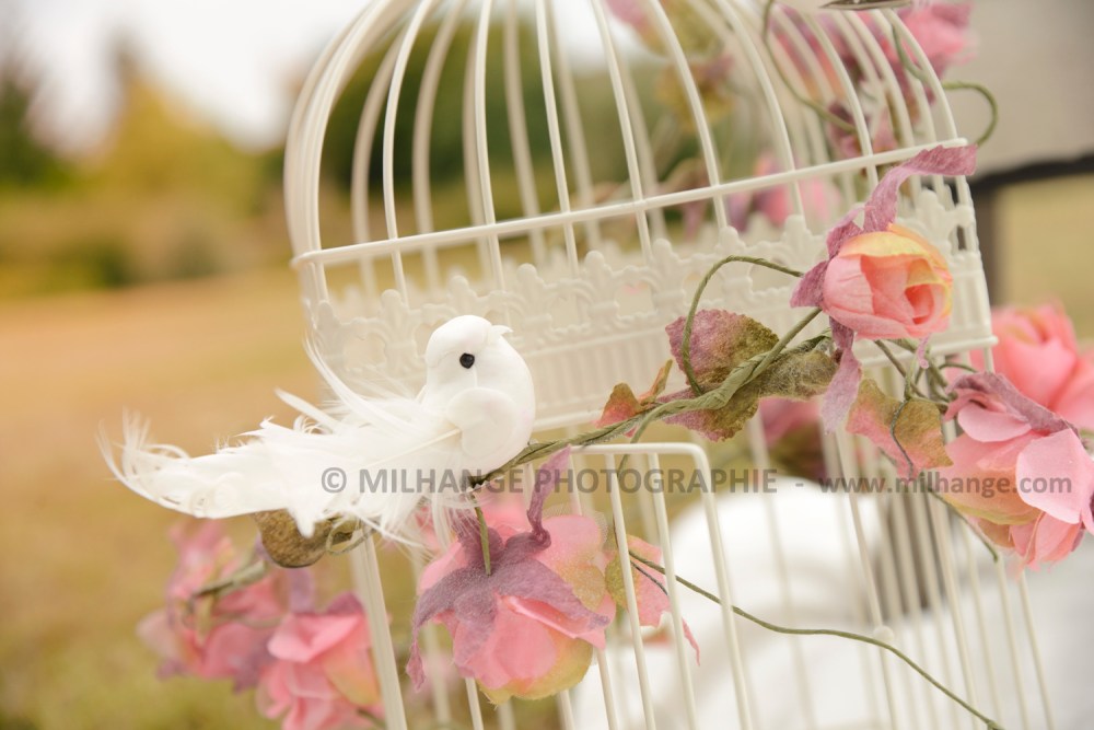 photo-bebe-baby-saintes-bordeaux-libourne-9