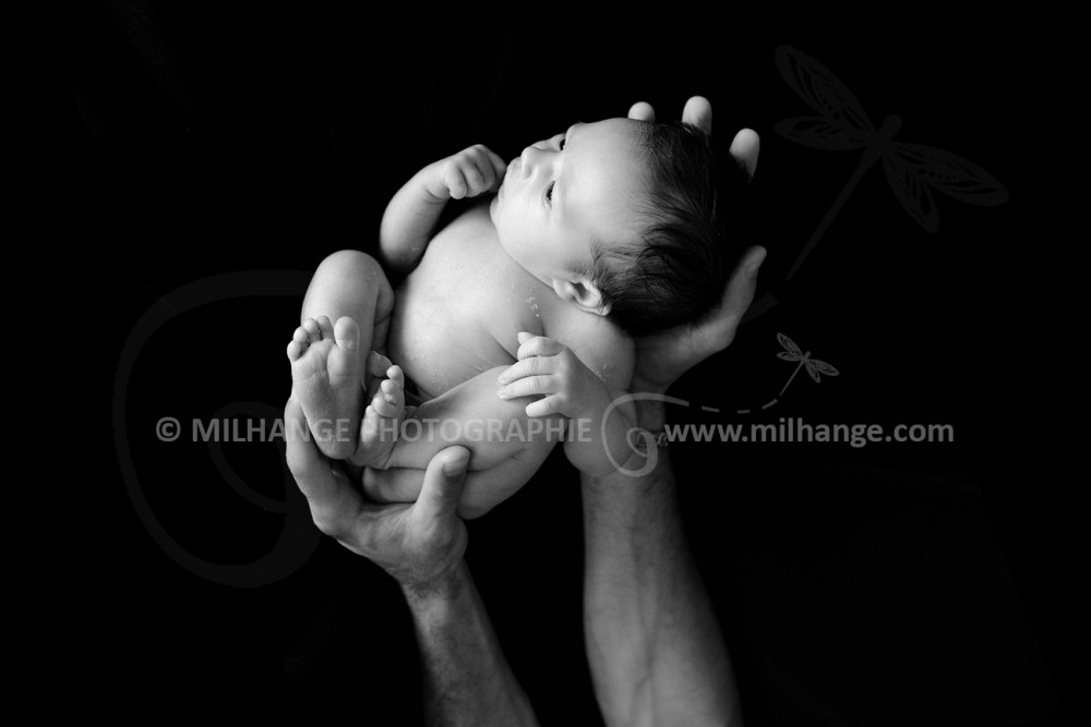 photo-nouveau-ne-bebe-cavalier-cheval-equitation-bordeaux-libourne-gironde-7