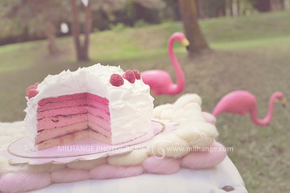 photo-bebe-enfant-anniversaire-rose-bordeaux-libourne-6