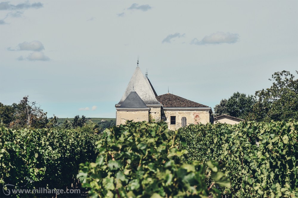 photo-chateau-abandonne-bacchus-lost-castle